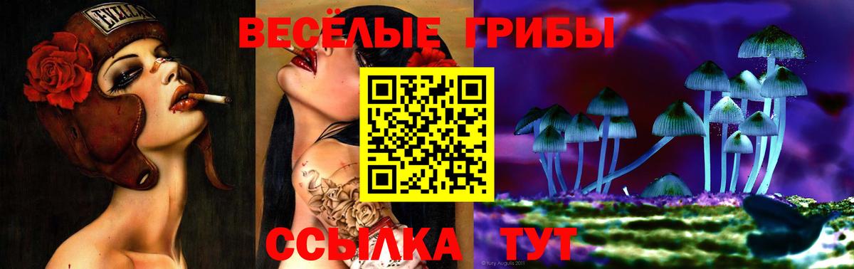Псилоцибиновые грибы MAGIC MUSHROOMS  Вход с VPN  Острогожск 